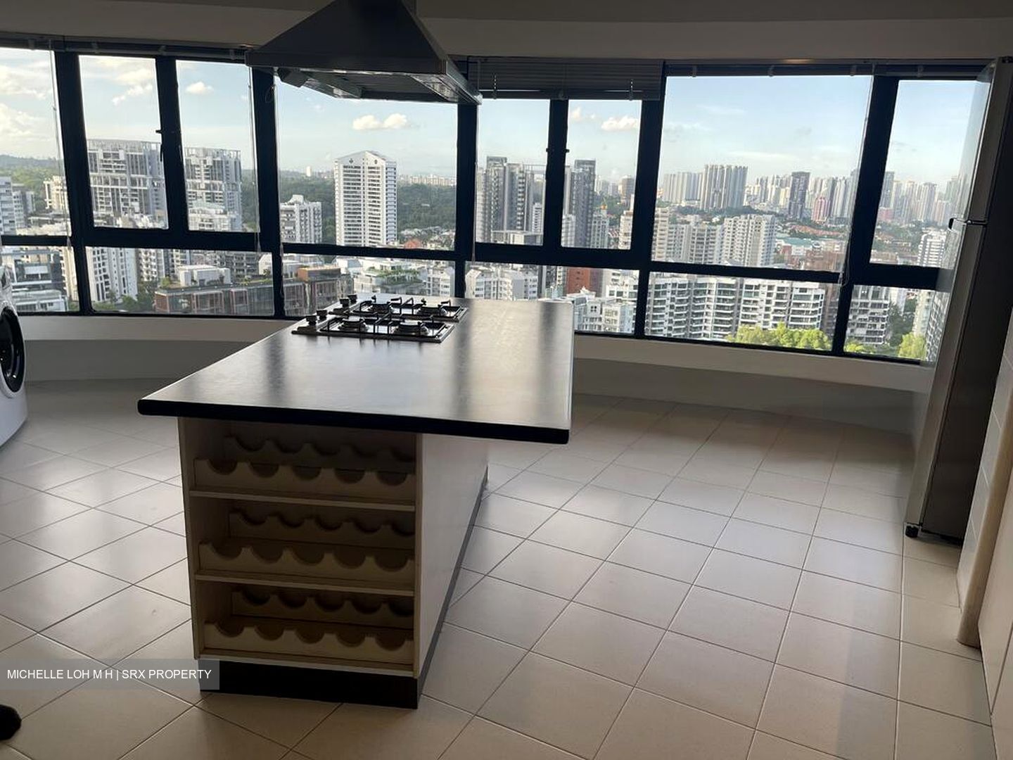 The Draycott (D10), Apartment #496593131